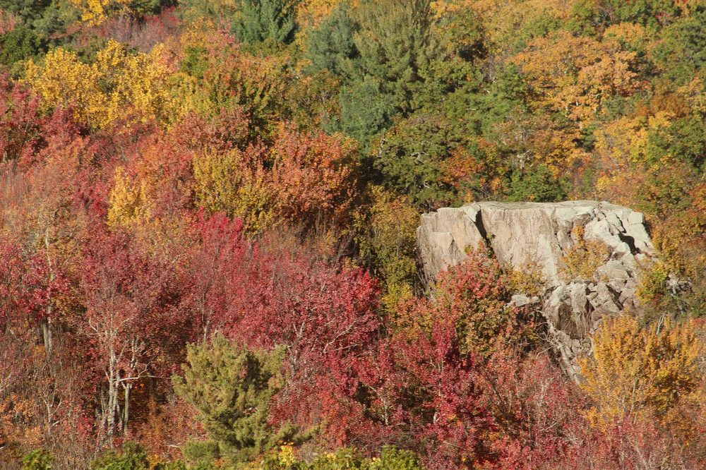 The Boulder in the Color