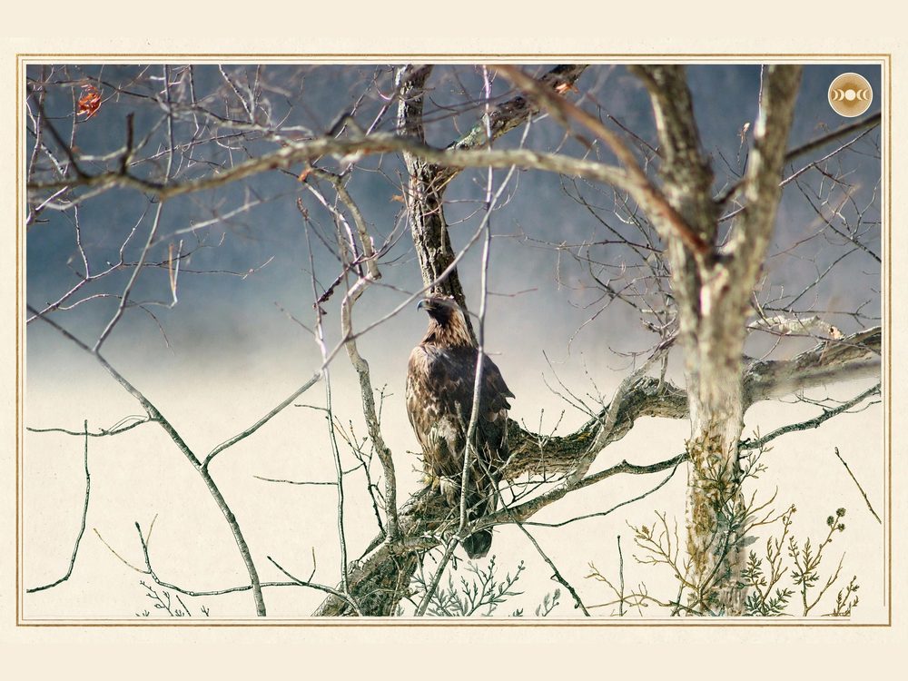 Hudson Valley — Set of 3